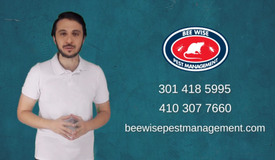 Bee Wise Pest Management – Video Presentation