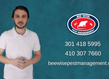 Bee Wise Pest Management  – Video Presentación