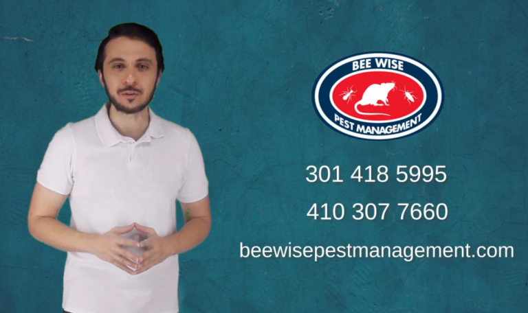 Bee Wise Pest Management – Video Presentación