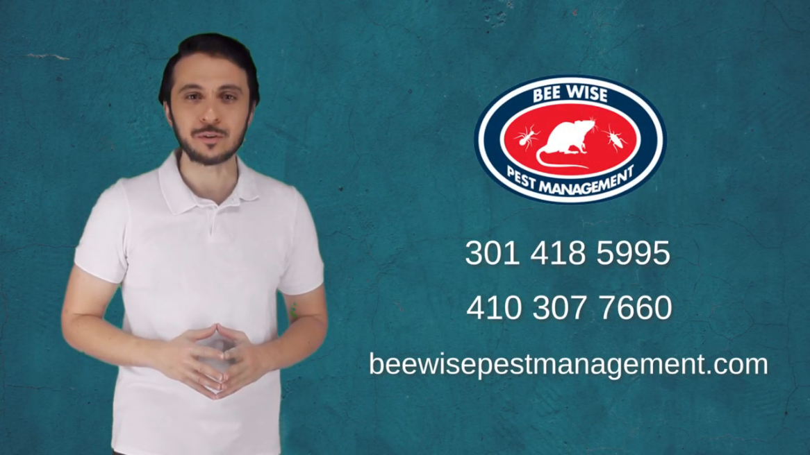 Bee Wise Pest Management  – Video Presentación